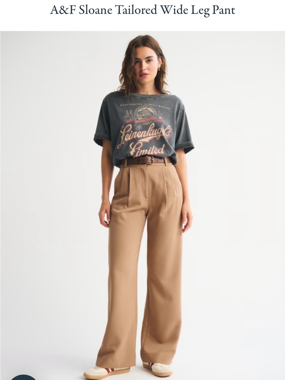 Abercrombie & Fitch SloaneTailored Pants sz 30 Long Curve Love